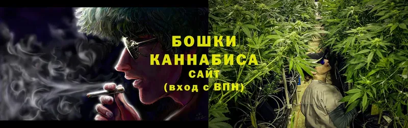 Марихуана планчик  blacksprut вход  Новозыбков 